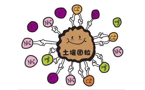 正在播放麻豆品牌浅析微量元素与人体衰老的关系