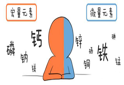 全自动正在播放麻豆介绍缺少微量元素的危害