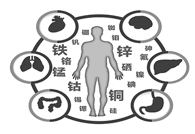 医用91麻豆性爱在线视频微量元素是什么怎么补