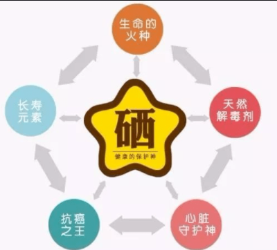 素分析仪,医用正在播放麻豆,人体微