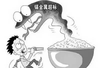 2020/1/4-全自动91麻豆性爱在线视频-国康-镉元素对人体的作用有哪些